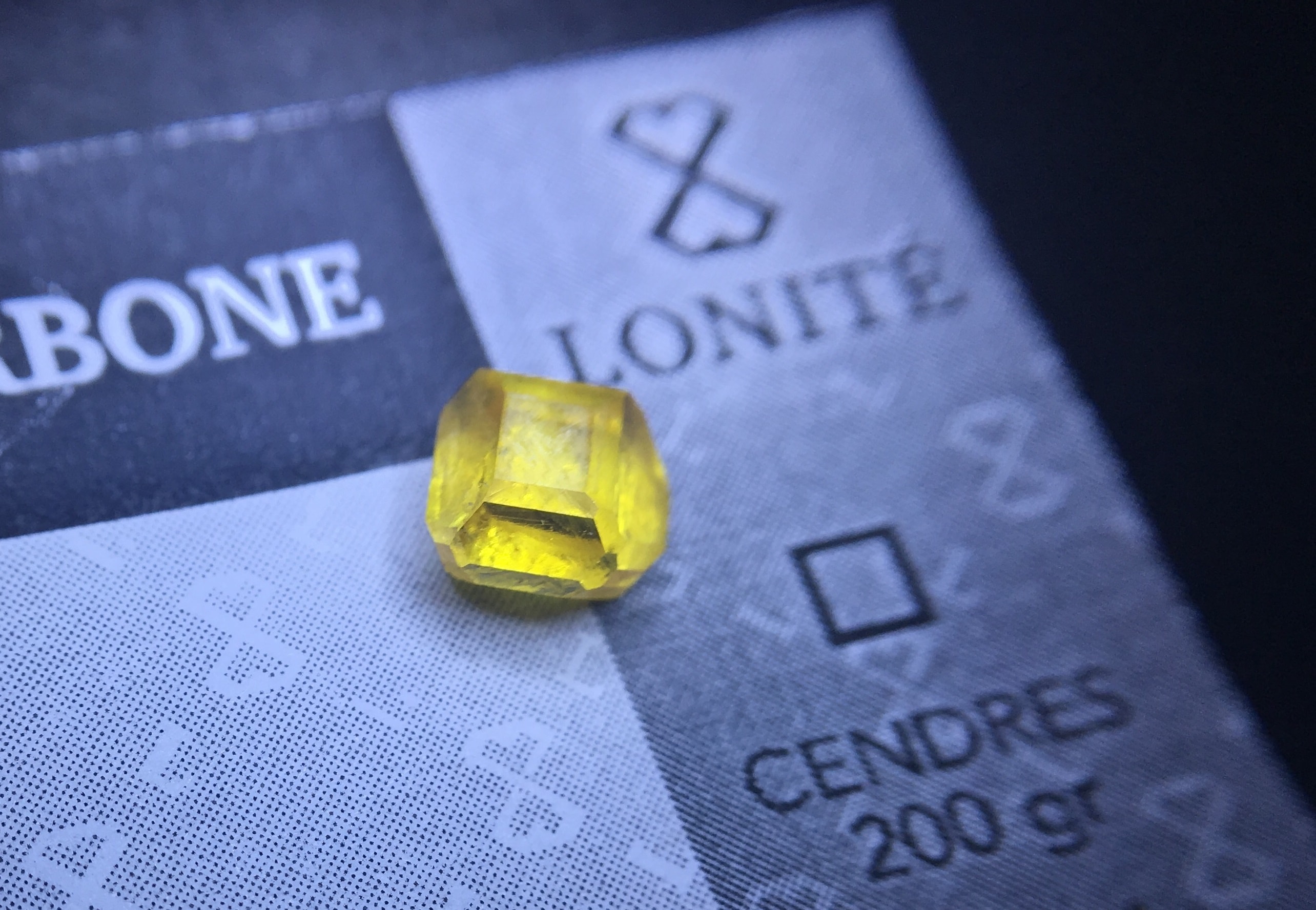 ペット（犬、猫、馬、鳥など）の遺骨、遺灰、毛から作製される遺骨ダイヤモンド