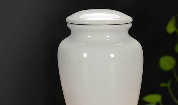 ペット（犬、猫、馬、鳥など）の遺骨、遺灰、毛から作製される遺骨ダイヤモンド